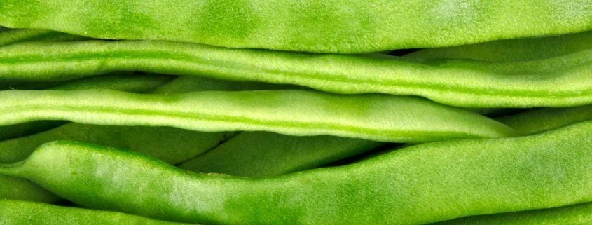 Grüne Bohnen - Die Verarbeitung macht's
