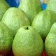 Guave - Die exotische Vitaminbombe