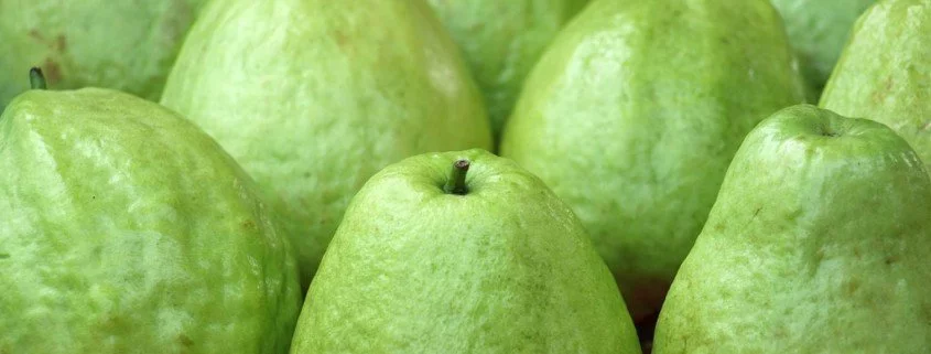 Guave - Die exotische Vitaminbombe