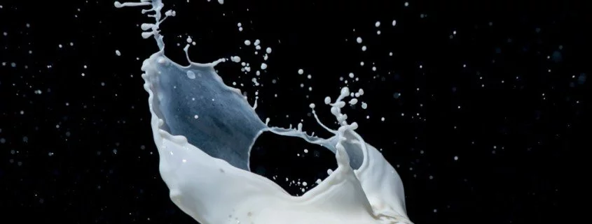 Kefir – der Milchchampagner