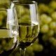 Klimawandel beeinflusst auch die deutschen Weine