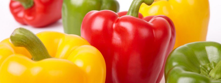 Stiftung Warentest: Bio-Ware oft nicht besser