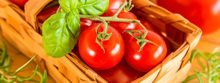 Warum Tomaten nicht für jeden gesund sind