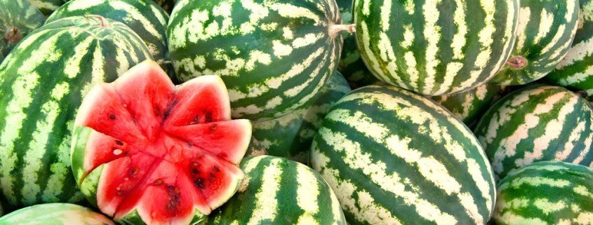 Wassermelonen – der optimale Sommersnack