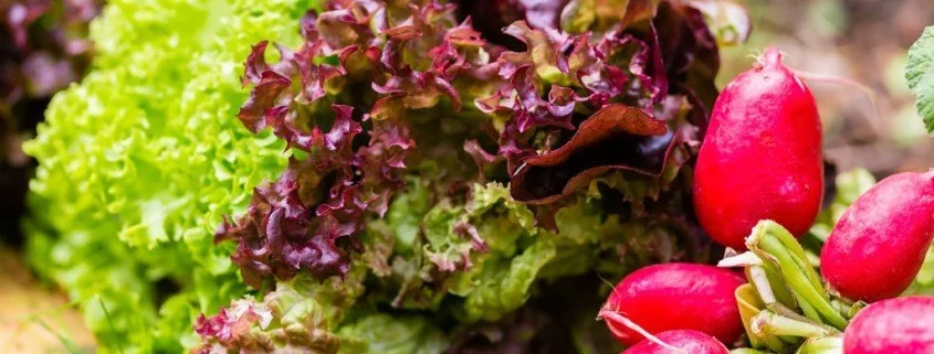 Mit diesen Zutaten wird der Salat zur Kalorienbombe
