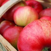 Apfelsaft ist nicht immer vegetarisch