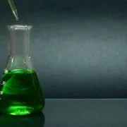 Chlorella-Algen und ihre entgiftende Wirkung