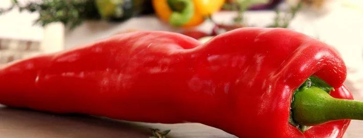Das geheime Leben von Gemüse im Kühlschrank
