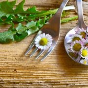 Foodamentalismus - wenn Ernährungstrends zu Mangelernährung führen