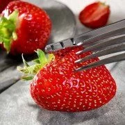 Frühe Erdbeeren