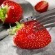 Frühe Erdbeeren