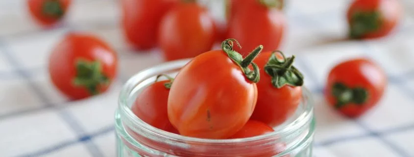 Geschmack von Kühlschrank-Tomaten schlechter