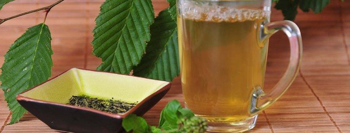 Grüner Tee – die Basis für eine lange Gesundheit