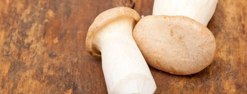 Die 10 teuersten Lebensmittel: Matsutake-Pilze