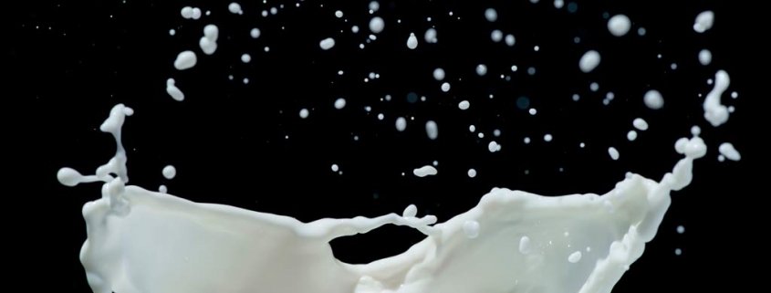 Pflanzenmilch: Hafermilch hat beste Ökobilanz