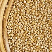 Quinoa - Der Inkareis und seine gesunde Wirkung