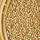 Quinoa - Der Inkareis und seine gesunde Wirkung