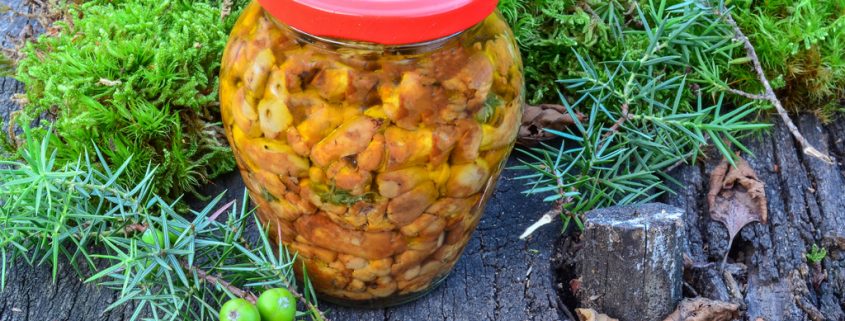 So machst Du Deine Lebensmittel haltbar - Von trocknen bis zuckern