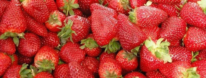 Sommerfrüchte Erdbeeren