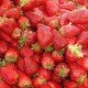 Sommerfrüchte Erdbeeren