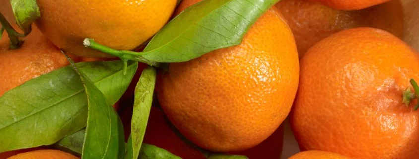 Wie gesund sind eigentlich Mandarinen?