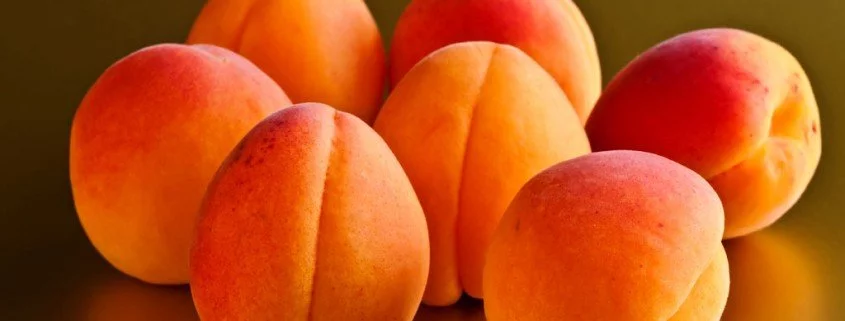 Dubiose Alternativmedizin: Aprikosenkerne gegen Krebs