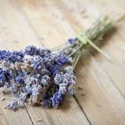 Gute Laune Kräuter: Lavendel