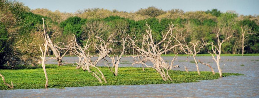 Der Klimawandel nimmt vielen Menschen ihr Zuhause