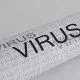Das Lassa-Virus breitet sich in Deutschland aus