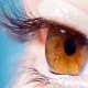 Blinde wieder sehend machen: Das Retina-Implantat