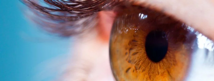 Blinde wieder sehend machen: Das Retina-Implantat
