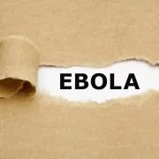 Ausmaße von Ebola größer als gedacht
