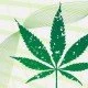 Cannabis: Wirkung der Droge