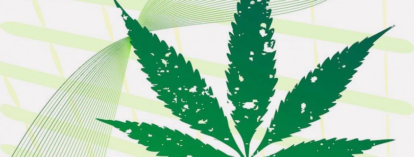 Cannabis: Wirkung der Droge