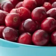 Cranberries und ihre heilende Wirkung gegen Antibiotika und Infektionen