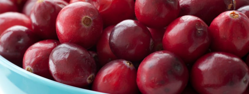 Cranberries und ihre heilende Wirkung gegen Antibiotika und Infektionen