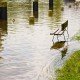 Gesundheitsgefahren durch Hochwasser