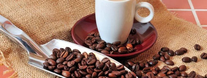 Hohe Bleifreisetzung bei Kaffeemaschinen – wie kann man sich dagegen schützen?
