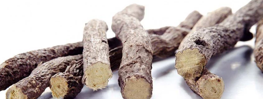 Süßholz - Arzneipflanze des Jahres 2012