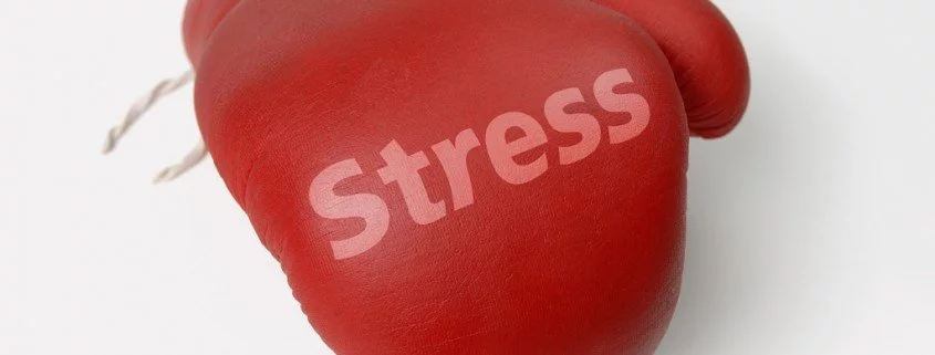 Tipps gegen Stress