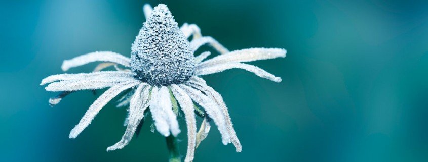 Verursacht Vitamin-D-Mangel schlechte Laune und Depressionen im Winter?