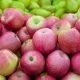 Fünf Vorteile von Äpfeln und Apfelsaft