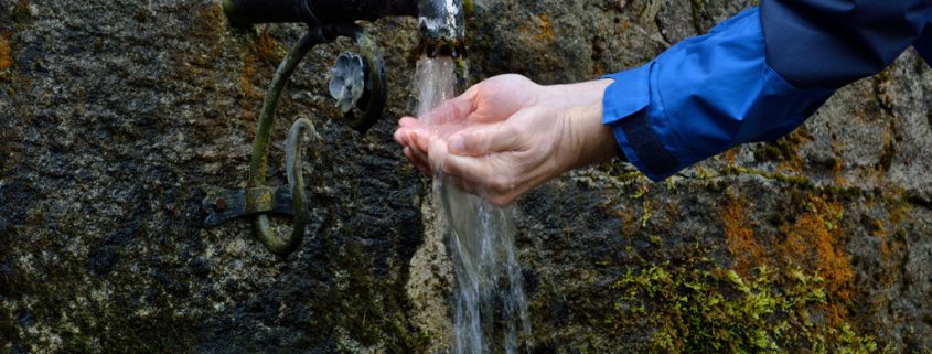 Wäscht man Hände am besten mit warmen Wasser, um Keime zu töten?