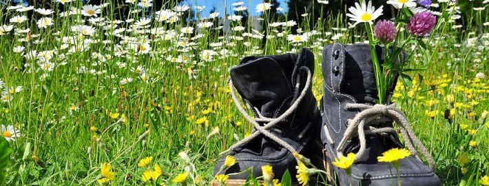 Wandern – zurück zu den Wurzeln