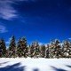 5 Tipps gegen Winter Blues