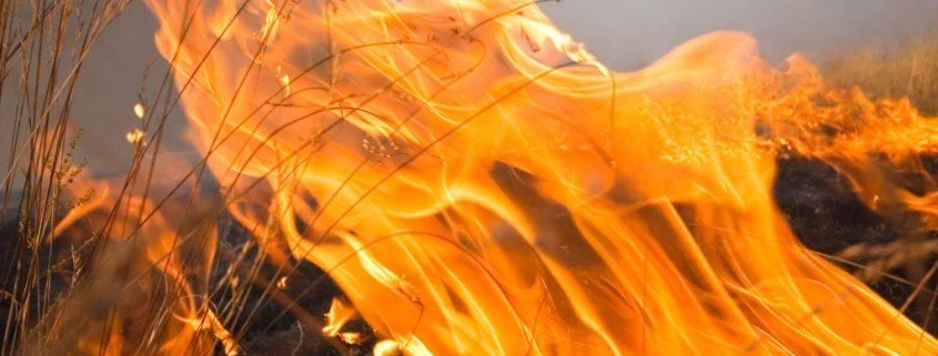 Pyromanie – wenn jemand Feuer und Flamme ist