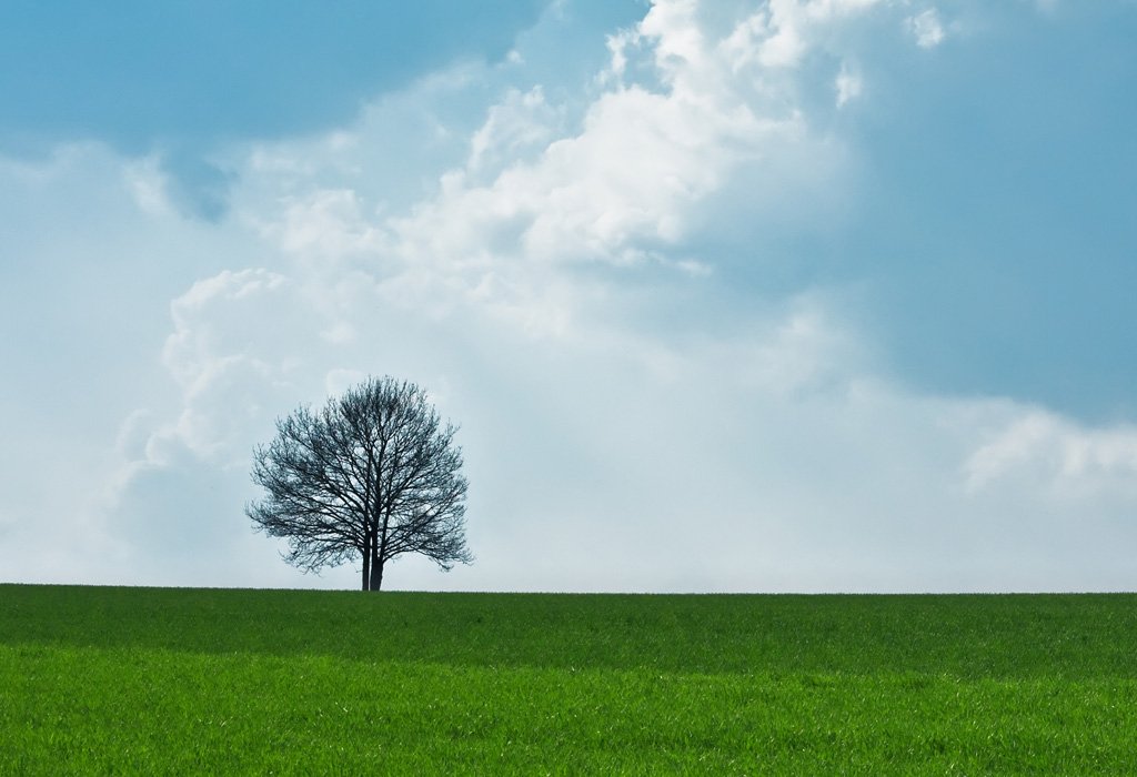 Was ist Gestalttherapie?