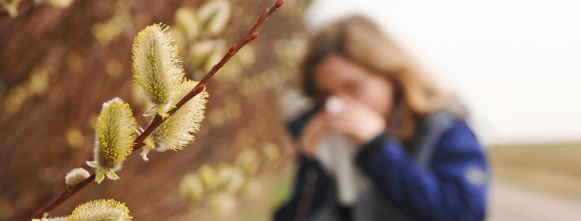 Der Zusammenhang von Psyche und Allergien