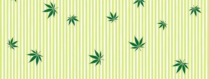Cannabis als Heilmittel: Wirkung & Anwendung