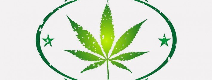 Cannabis: Langzeitfolgen mit schleichender Entwicklung